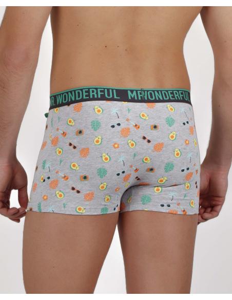 Mr Wonderful Calzoncillo/Bóxer Siempre es Verano para Hombre, (Caja de 2 unidades) - Imagen 3