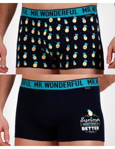 Mr Wonderful Calzoncillo/Bóxer Piñas para Hombre, (Caja de 2 unidades) - Imagen 1