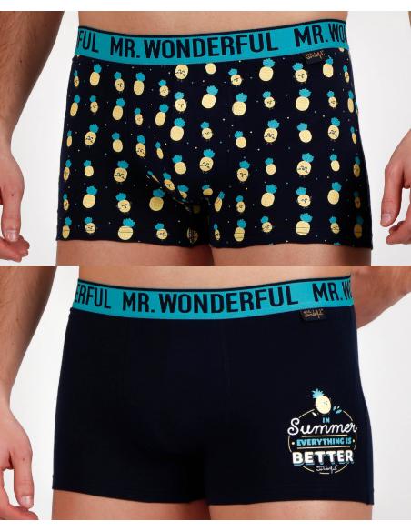 Mr Wonderful Calzoncillo/Bóxer Piñas para Hombre, (Caja de 2 unidades) - Imagen 1