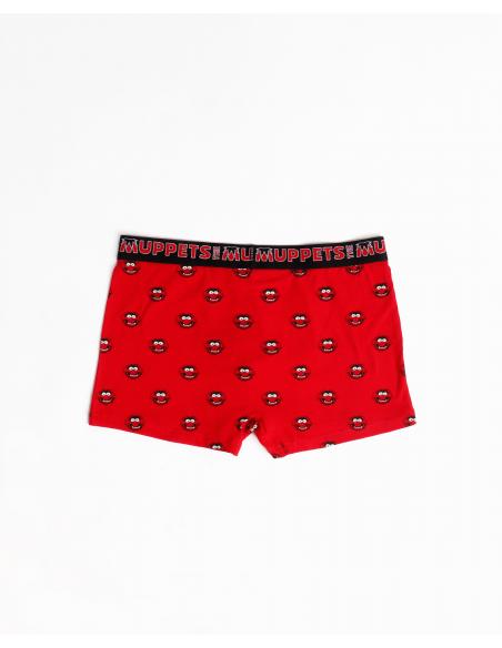 DISNEY Calzoncillo/Bóxer Animal Caja Metal Regalo para Hombre