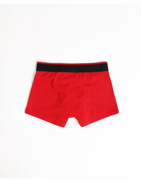 DISNEY Calzoncillo/Boxer Holidays Caja Metal Regalo para Niño, (Caja 12 unidades)